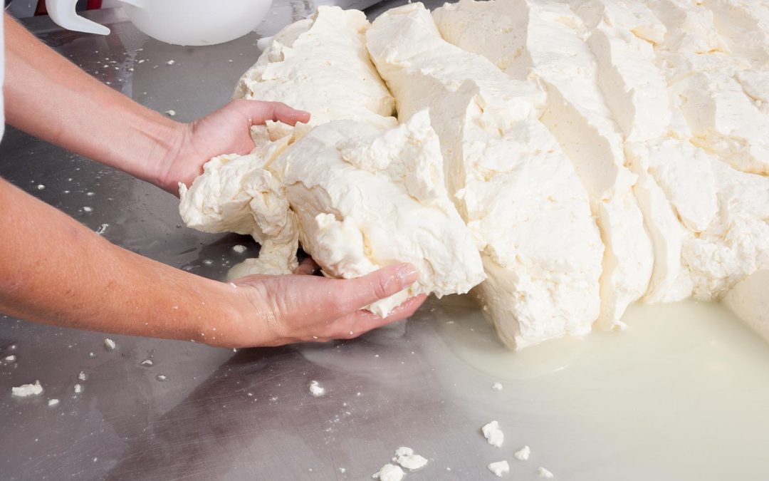¿Qué tipos de residuos alimentarios existen?